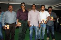 Nagarjuna Bhai Movie Audio Launch